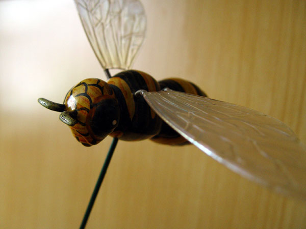 A wasp